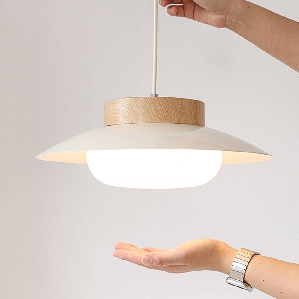 Lampe Suspendue Créative en Forme de Bol de Riz
