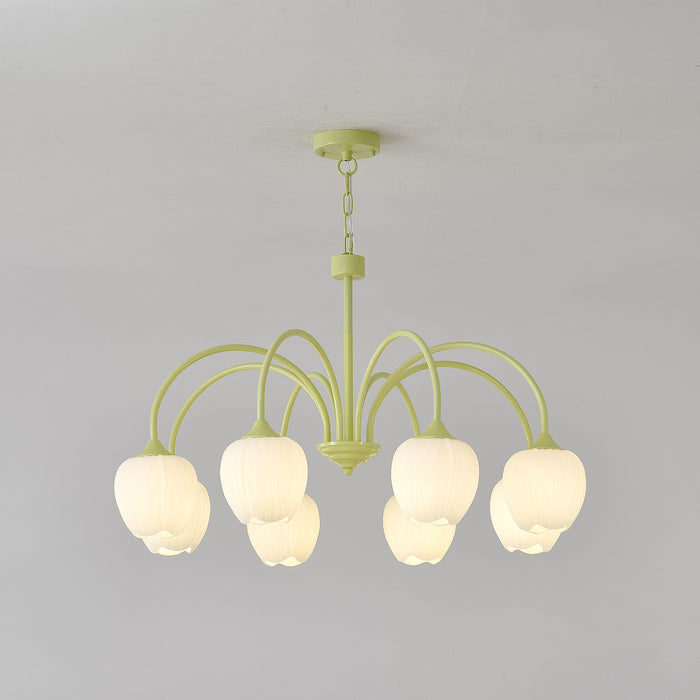 Tulip – Lustre Matcha Élégant
