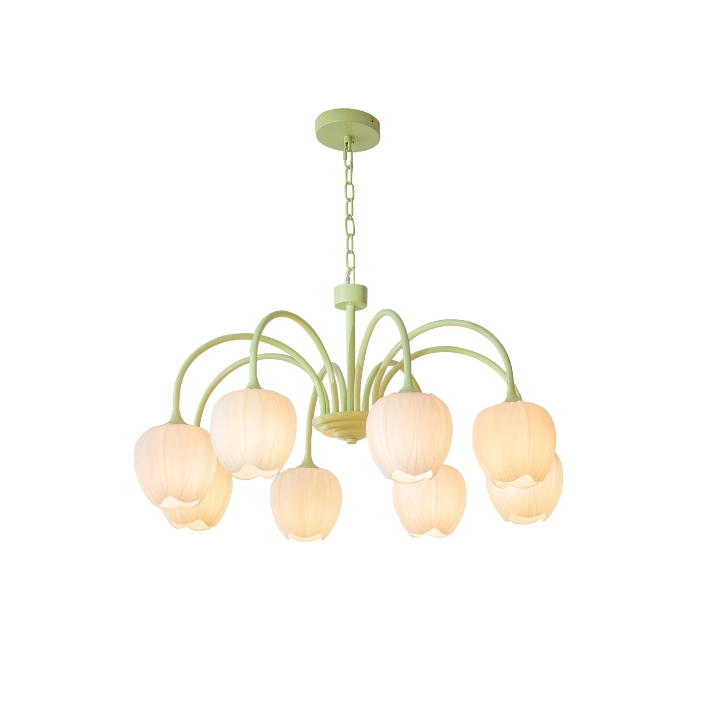 Tulip – Lustre Matcha Élégant