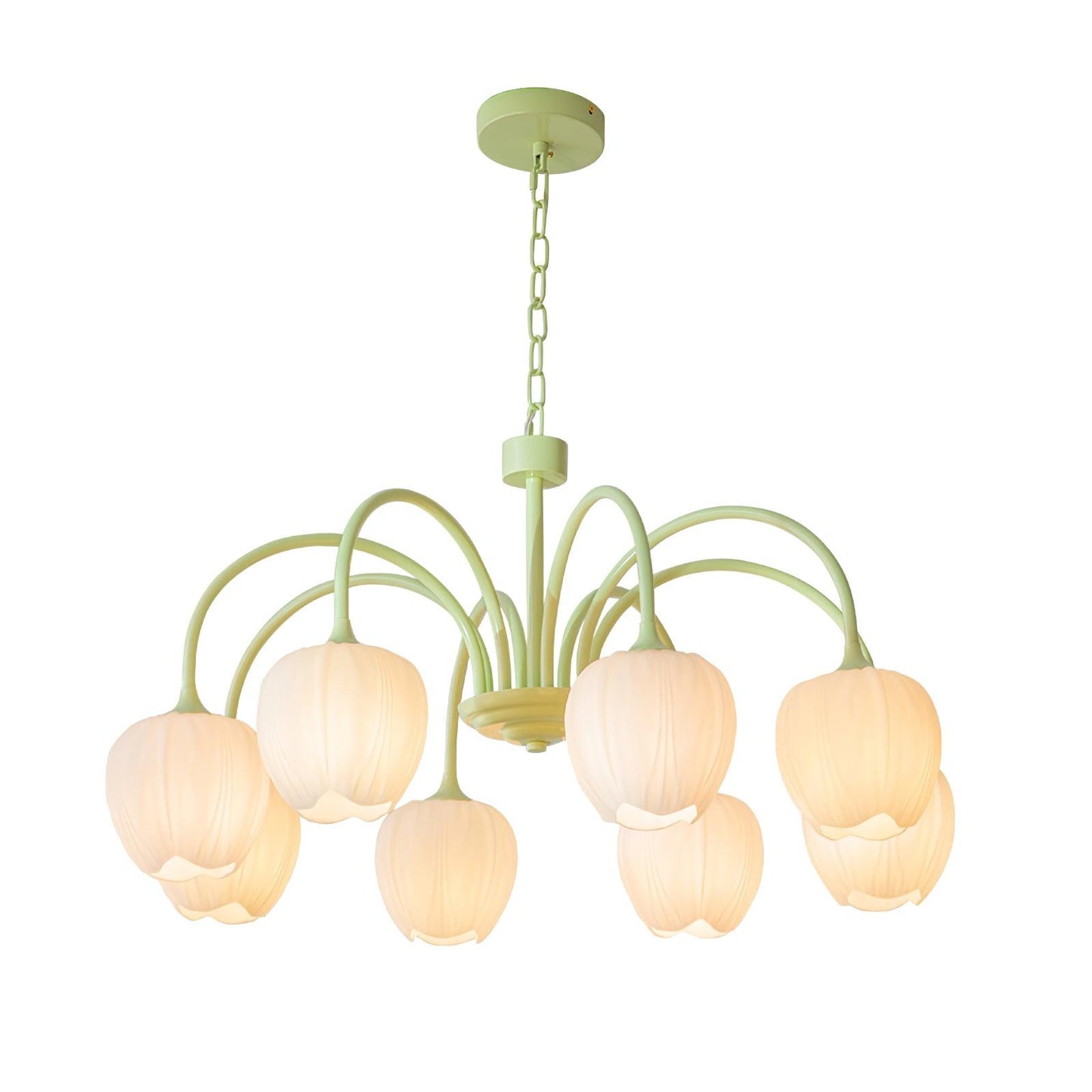 Tulip – Lustre Matcha Élégant